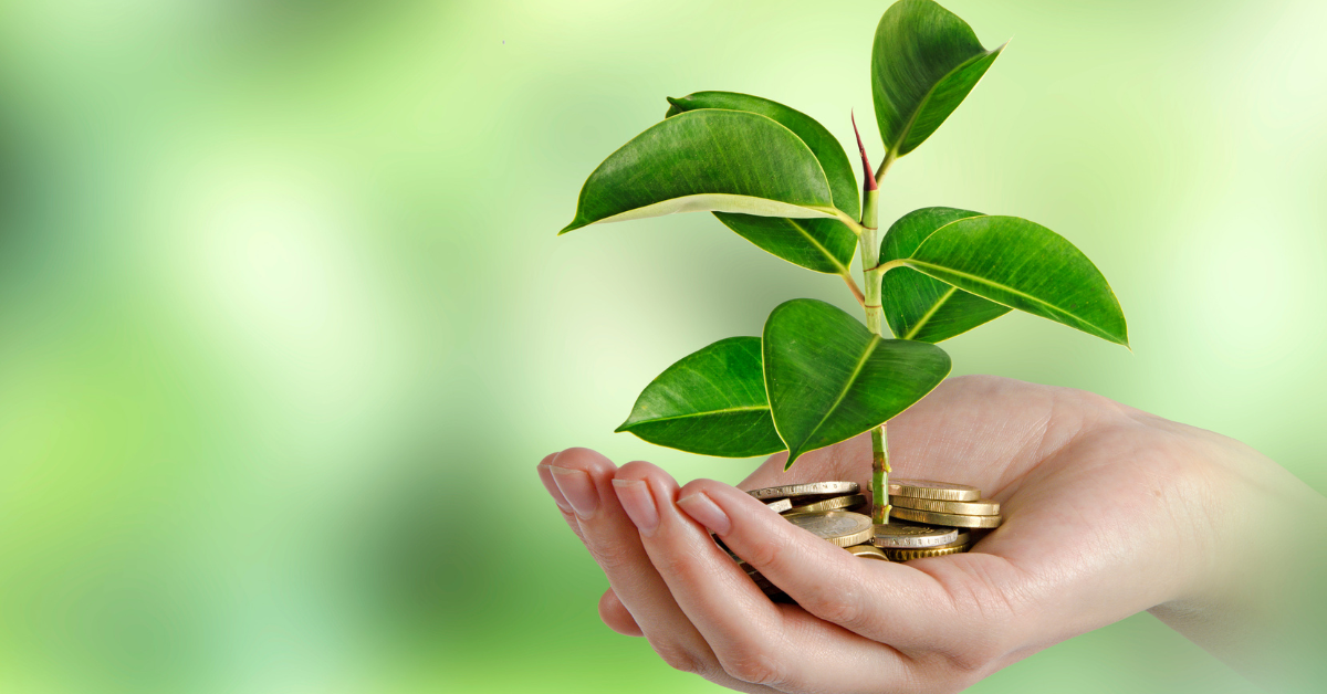 GREEN WEALTH: Eco-Friendly Finances